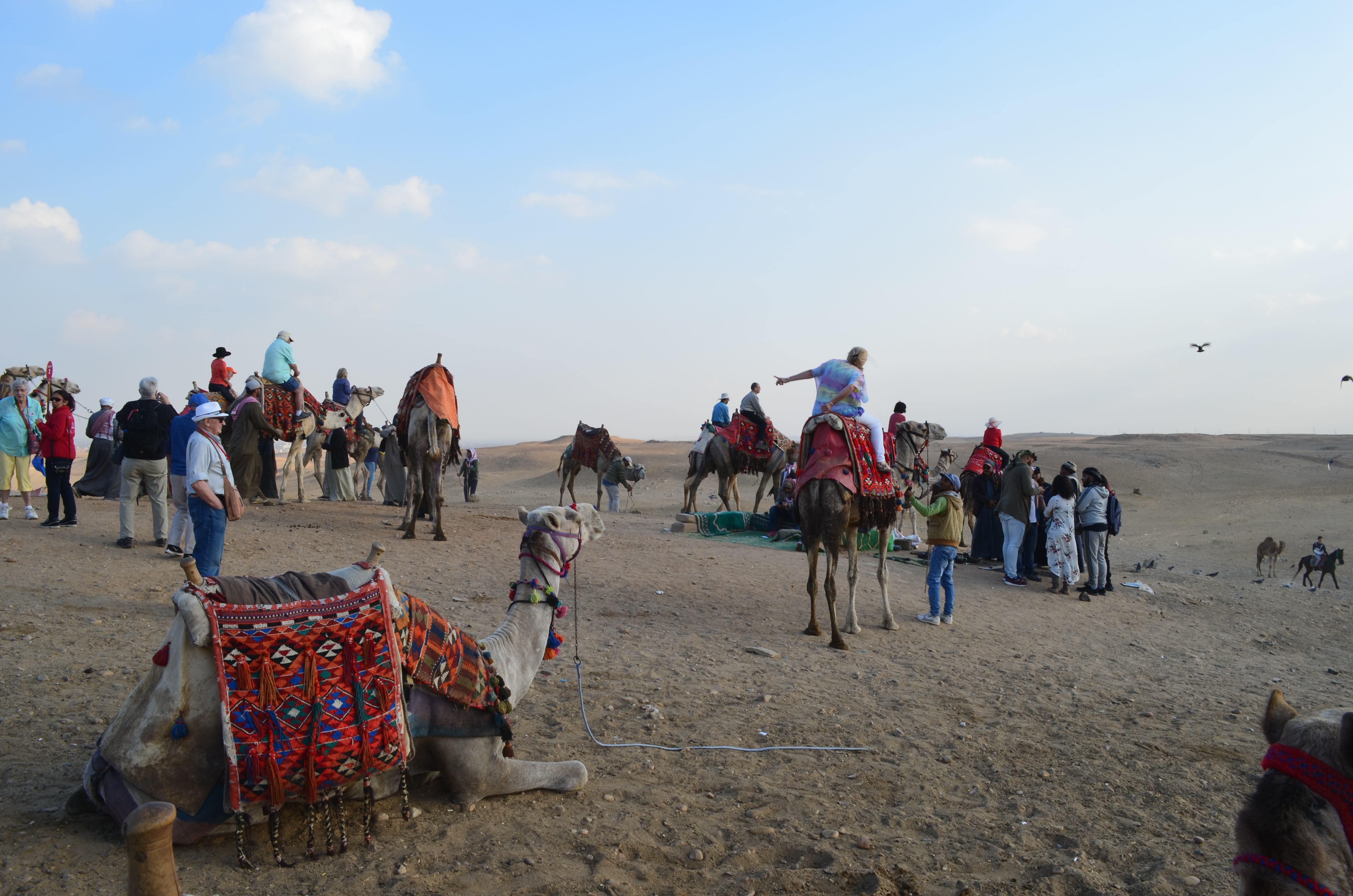 ./2018/16 - Egypt/03 - Pyramids/DSC_0246.JPG